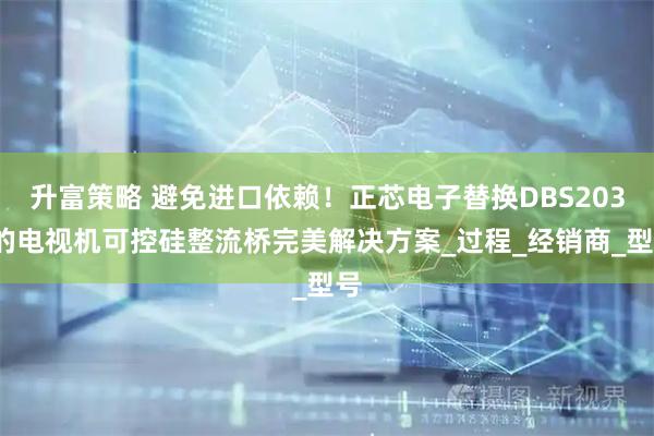 升富策略 避免进口依赖！正芯电子替换DBS203L的电视机可控硅整流桥完美解决方案_过程_经销商_型号